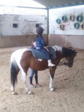 Escola de equitação Dom Pequenote - Escola