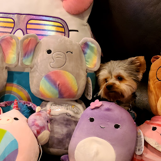 Variety Store «Five Below», reviews and photos, 2845 Richmond Ave #3, Staten Island, NY 10314, USA