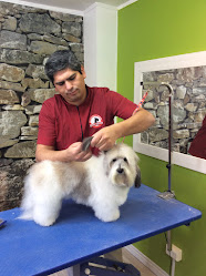 Peluqueria Canina Dog Bark