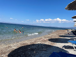 Mojito beach'in fotoğrafı geniş bir kıyı şeridi ile birlikte