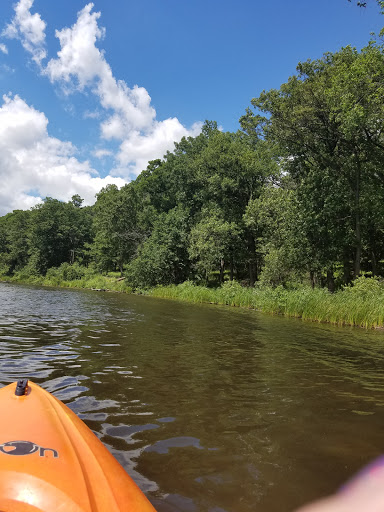 Nature Preserve «Pulaski Woods East», reviews and photos, 9600 Wolf Rd, Willow Springs, IL 60480, USA