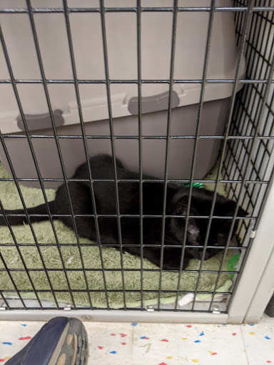 Pet Supply Store «Pet Supplies Plus», reviews and photos, 585 Moseley Rd, Fairport, NY 14450, USA