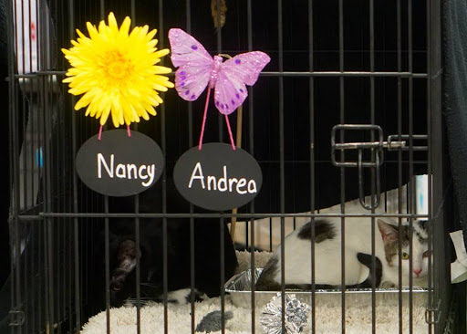 Pet Supply Store «J-B Pet Supplies - Hawthorne», reviews and photos, 289 Wagaraw Rd, Hawthorne, NJ 07506, USA