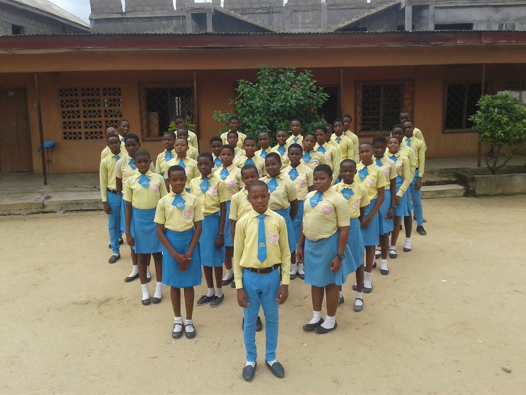 Nekon Schools Aba