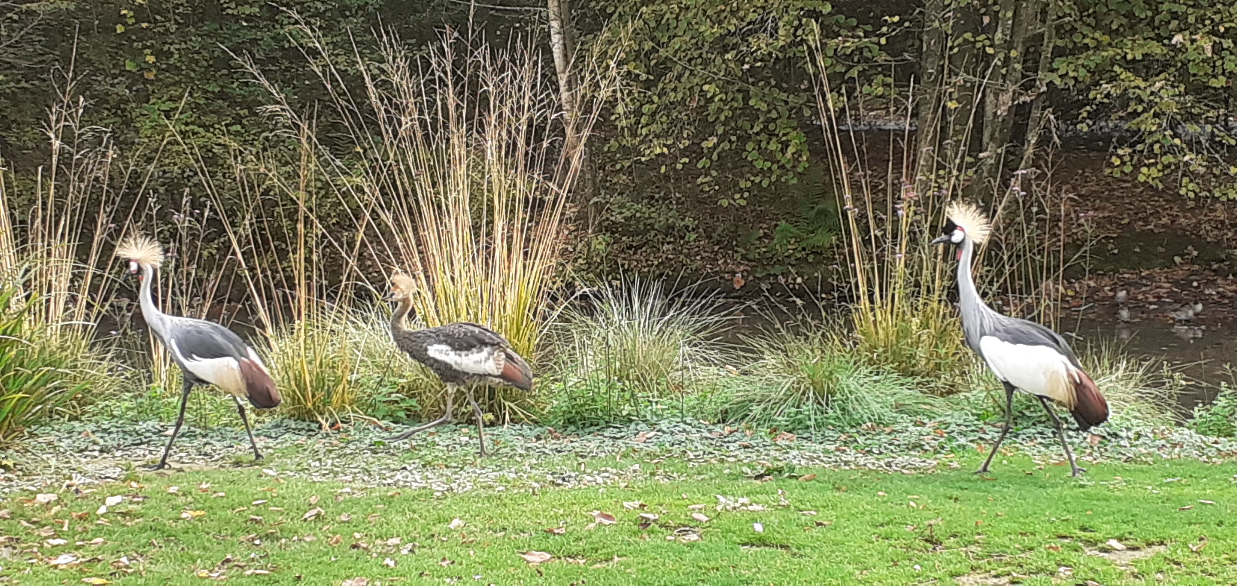 Photo n° 3 de l'avis de nad.a fait le 30/10/2022 à 09:07