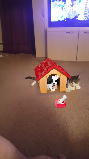 Pet Supply Store «PetSmart», reviews and photos, 156 Old Little Britain Rd, Newburgh, NY 12550, USA