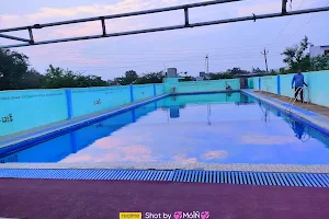 Dolphin swimming pool image
