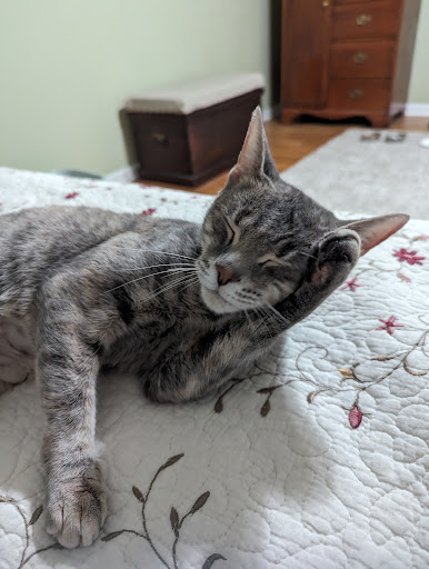 East Haven Animal Shelter