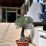 Photo n°1 de l'avis de Sascha. fait le 13/08/2020 à 14:26 sur le  Hotel Bellevue Bibione à Bibione