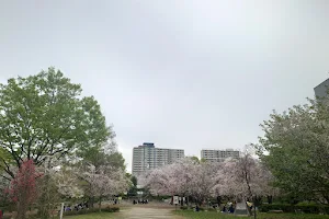 Hamachō Park image