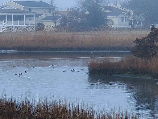 Public Golf Course «The Links at Brigantine Beach», reviews and photos, 1075 N Shore Dr, Brigantine, NJ 08203, USA