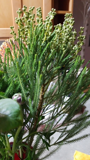 Florist «Green Cottage», reviews and photos, 1204 NY-213, High Falls, NY 12440, USA