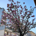 Photo n°1 de l'avis de Marino.i fait le 22/04/2019 à 16:07 sur le  Ambassador Palace Hotel à Udine