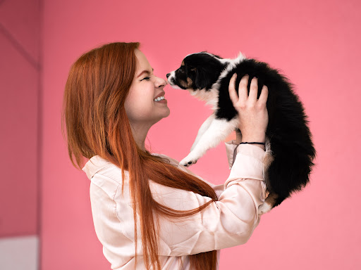 Pet Store «Petland», reviews and photos, 10289 Ulmerton Rd, Largo, FL 33771, USA