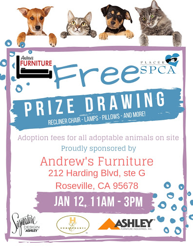 Bedroom Furniture Store «Andrews Furniture & Mattress», reviews and photos, 7811 Lichen Dr, Citrus Heights, CA 95621, USA