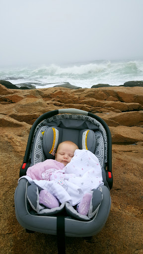 Hiking Area «Black Point Trailhead», reviews and photos, 655 Ocean Rd, Narragansett, RI 02882, USA