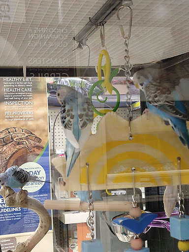 Pet Supply Store «PetSmart», reviews and photos, 585 Main St, Brookfield, WI 53005, USA