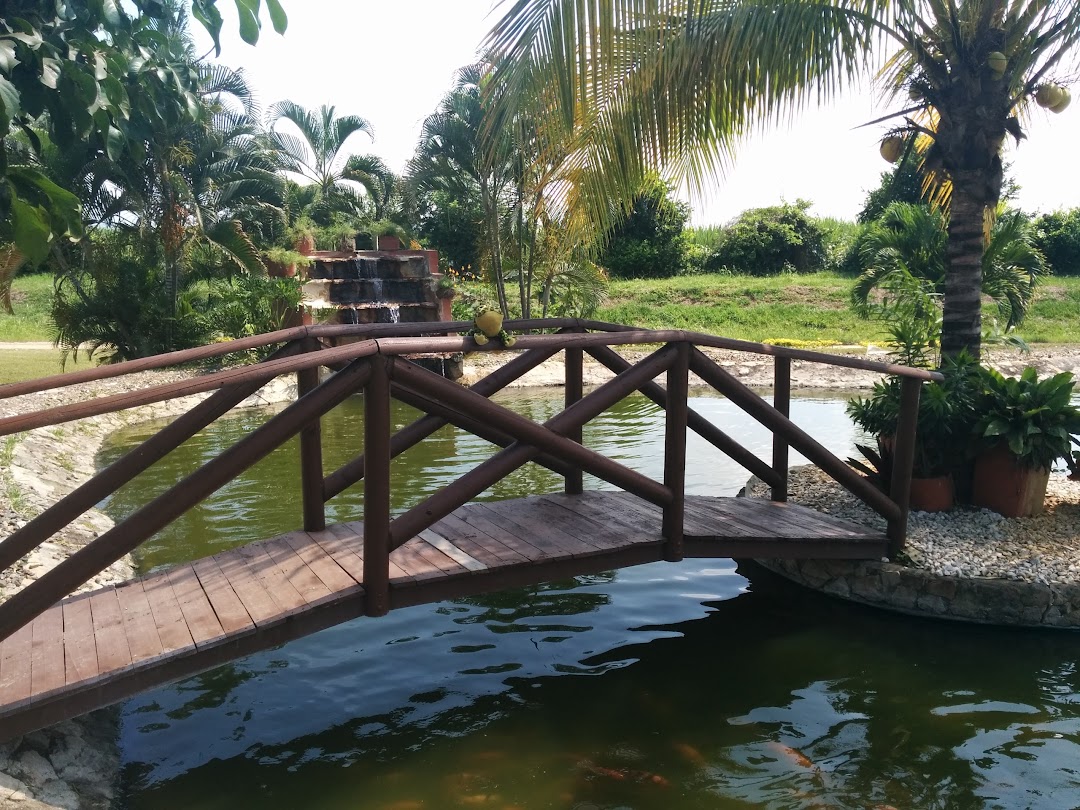Papeles Del Cauca PDC