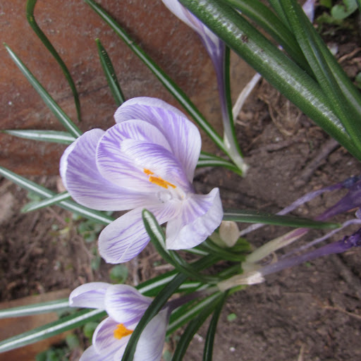 Bed & Breakfast «Red Leaf River Inn», reviews and photos, 146 Chestnut Walk Dr, Waynesville, NC 28786, USA