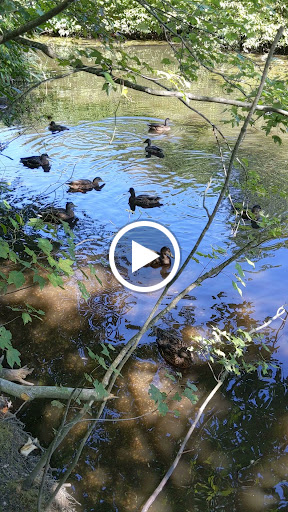 Park «Mansfield Park», reviews and photos, 85 Walker St, Massapequa Park, NY 11762, USA