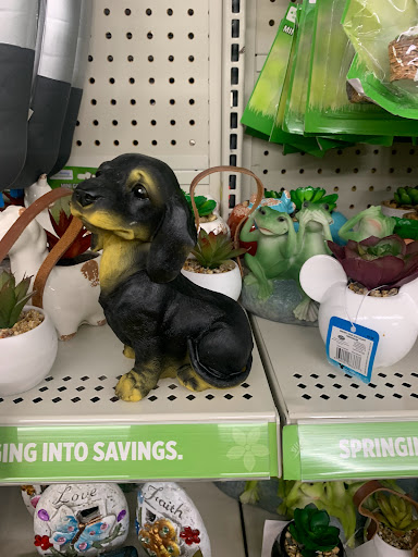 Discount Store «Dollar General», reviews and photos, 5211 Doc Bailey Rd, Charleston, WV 25313, USA