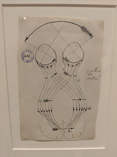 Art Gallery «Grey Art Gallery», reviews and photos, 100 Washington Square E, New York, NY 10003, USA