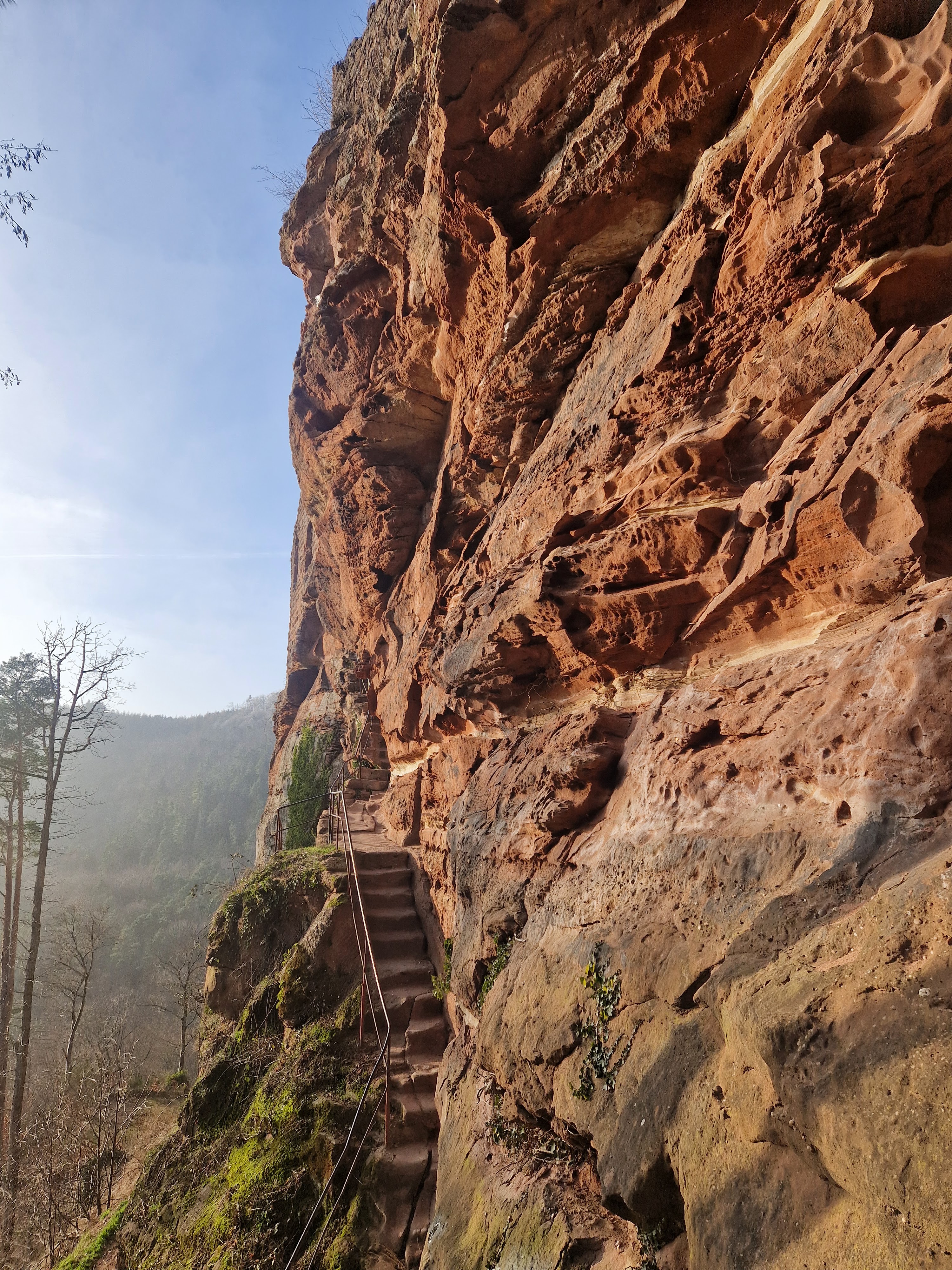 Photo n° 26 de l'avis de Beno. fait le 14/01/2024 à 20:33