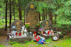 forest cemetery image