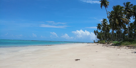 Praia de Ipioca II