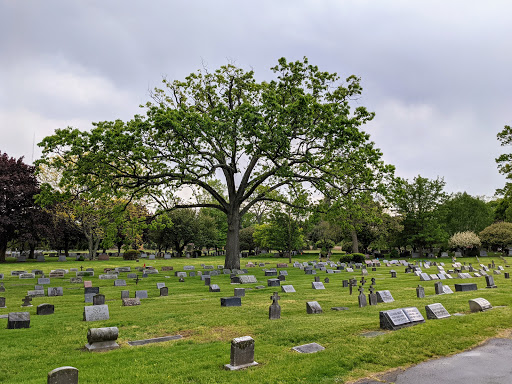 Mountain Grove Cemetery Assn