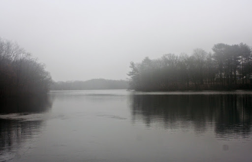 State Park «Cochituate State Park», reviews and photos, 43 Commonwealth Rd, Natick, MA 01760, USA