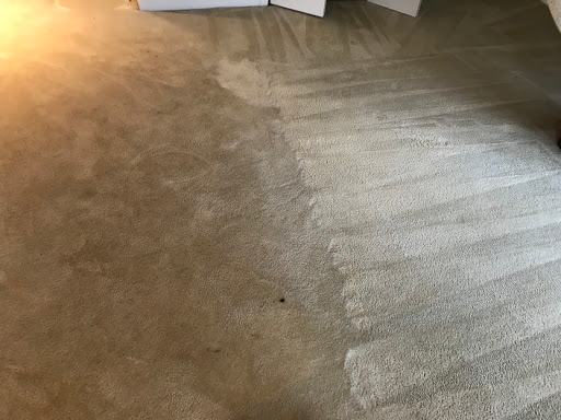 Carpet Cleaning Service «Elite Carpet Cleaning Service», reviews and photos, 29031 Glenarden St, Farmington Hills, MI 48334, USA