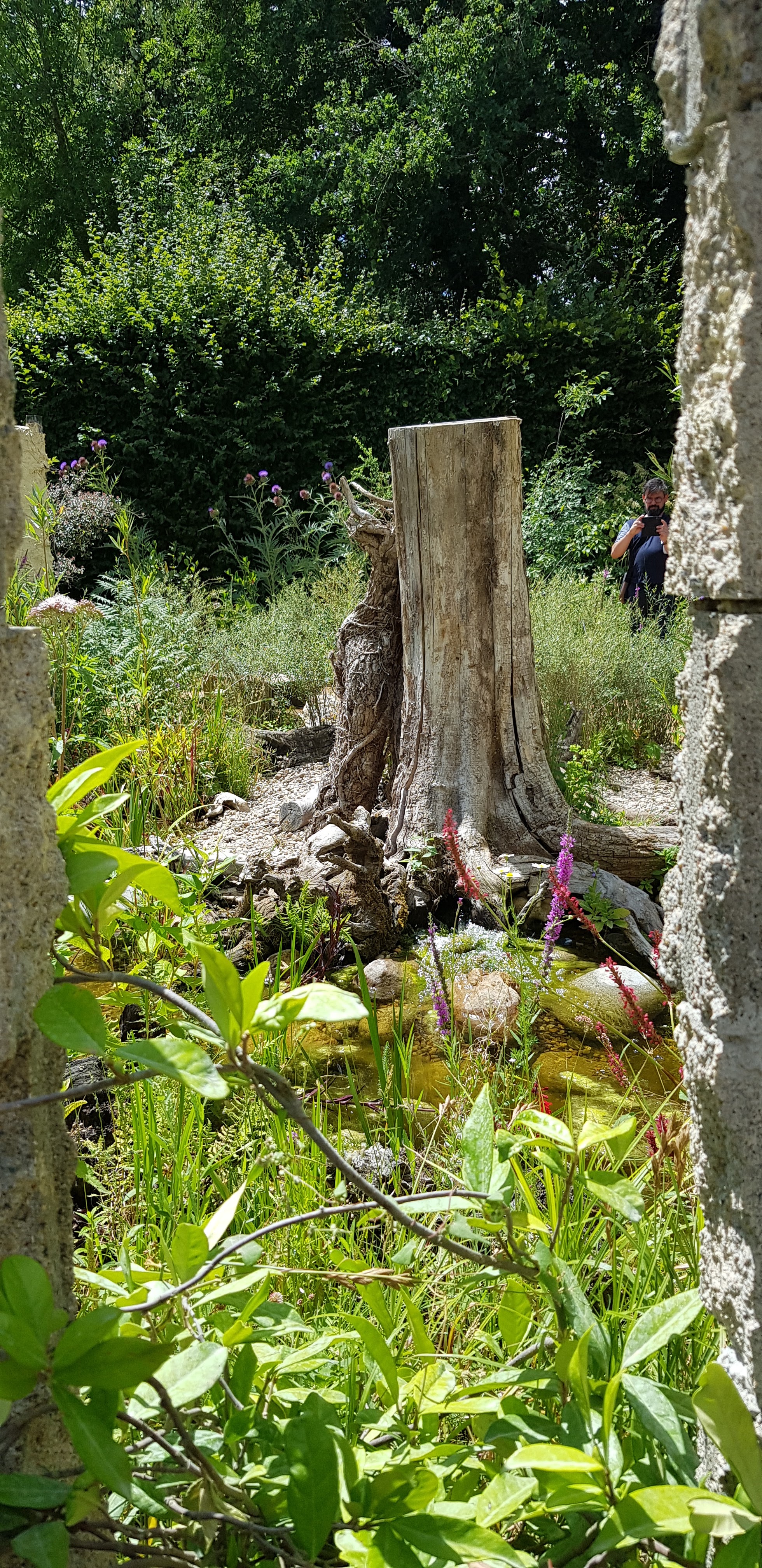 Photo n° 32 de l'avis de marie.e fait le 26/07/2020 à 16:42