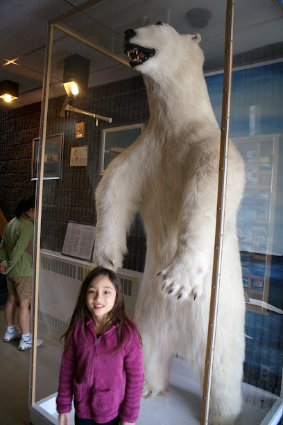 Mounted Polar Bear