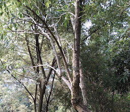 Taman Malabar photo
