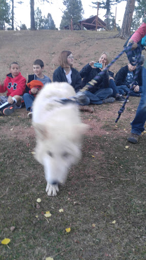 Wildlife Park «Colorado Wolf and Wildlife Center», reviews and photos, 4729 Twin Rocks Rd, Divide, CO 80814, USA
