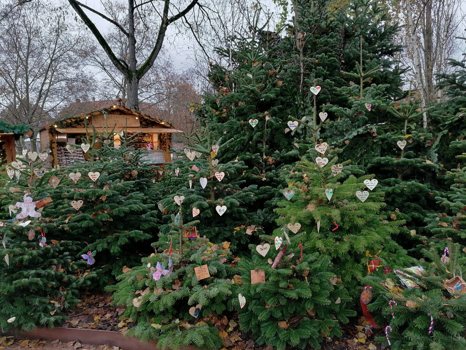 Photo n° 4 de l'avis de Philippe.o fait le 17/12/2023 à 22:11
