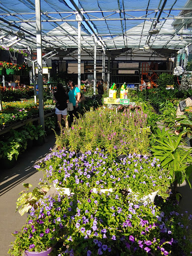 Garden Center at The Home Depot