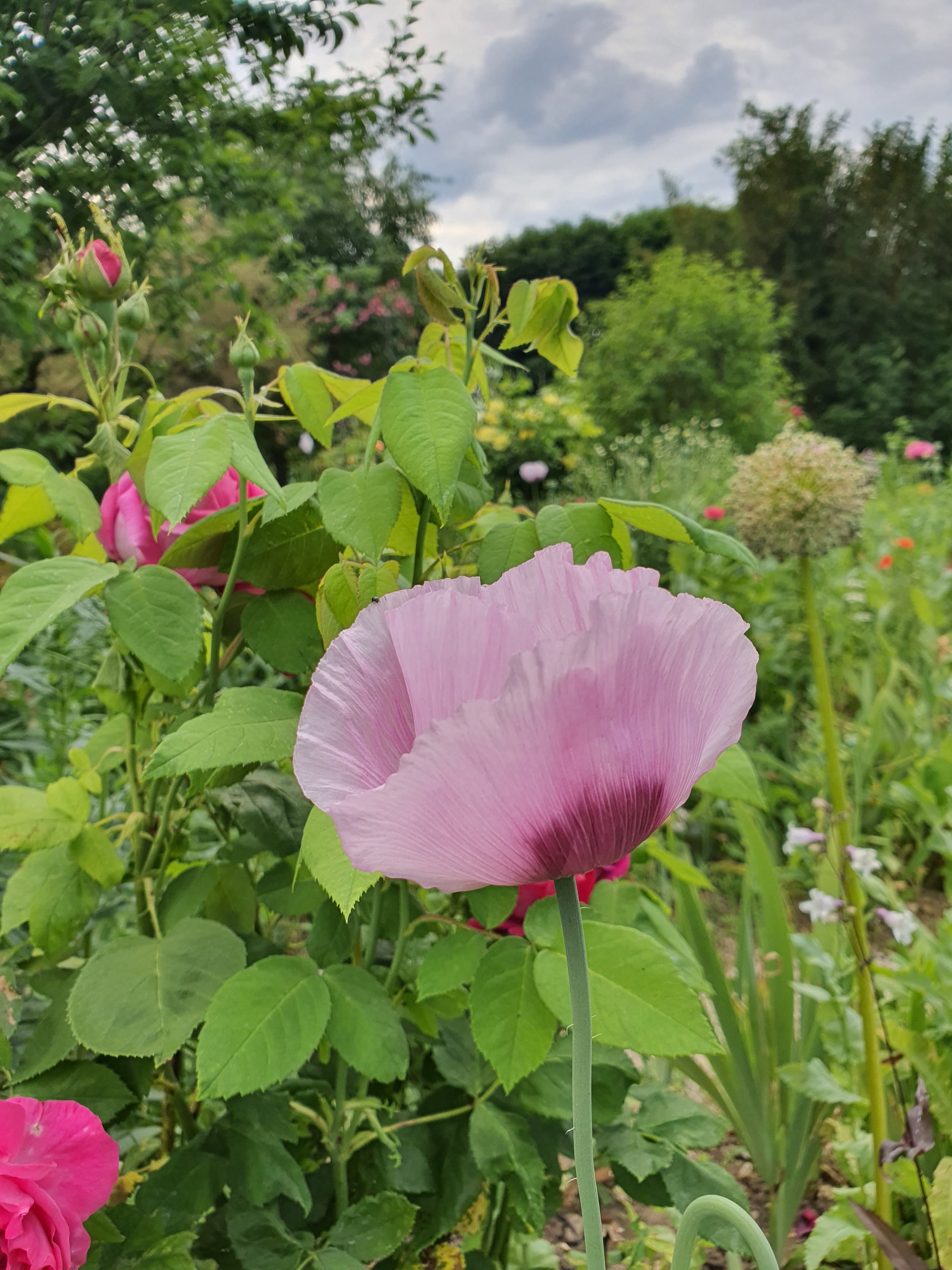 Photo n° 8 de l'avis de Chimene.a fait le 18/06/2021 à 22:36