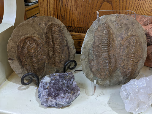 Jewelry Store «Exquisite Earth», reviews and photos, 126 S Main St, New Hope, PA 18938, USA