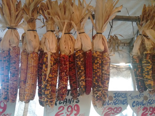 Produce Market «Hudson Farmers Market», reviews and photos, 3437 John F. Kennedy Blvd, Jersey City, NJ 07307, USA