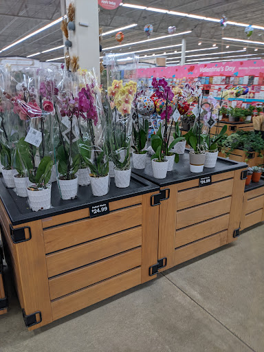 Grocery Store «Meijer», reviews and photos, 2622 Menards Dr, Evansville, IN 47715, USA