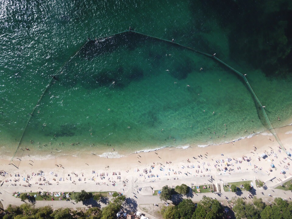 Shark Beach photo #8