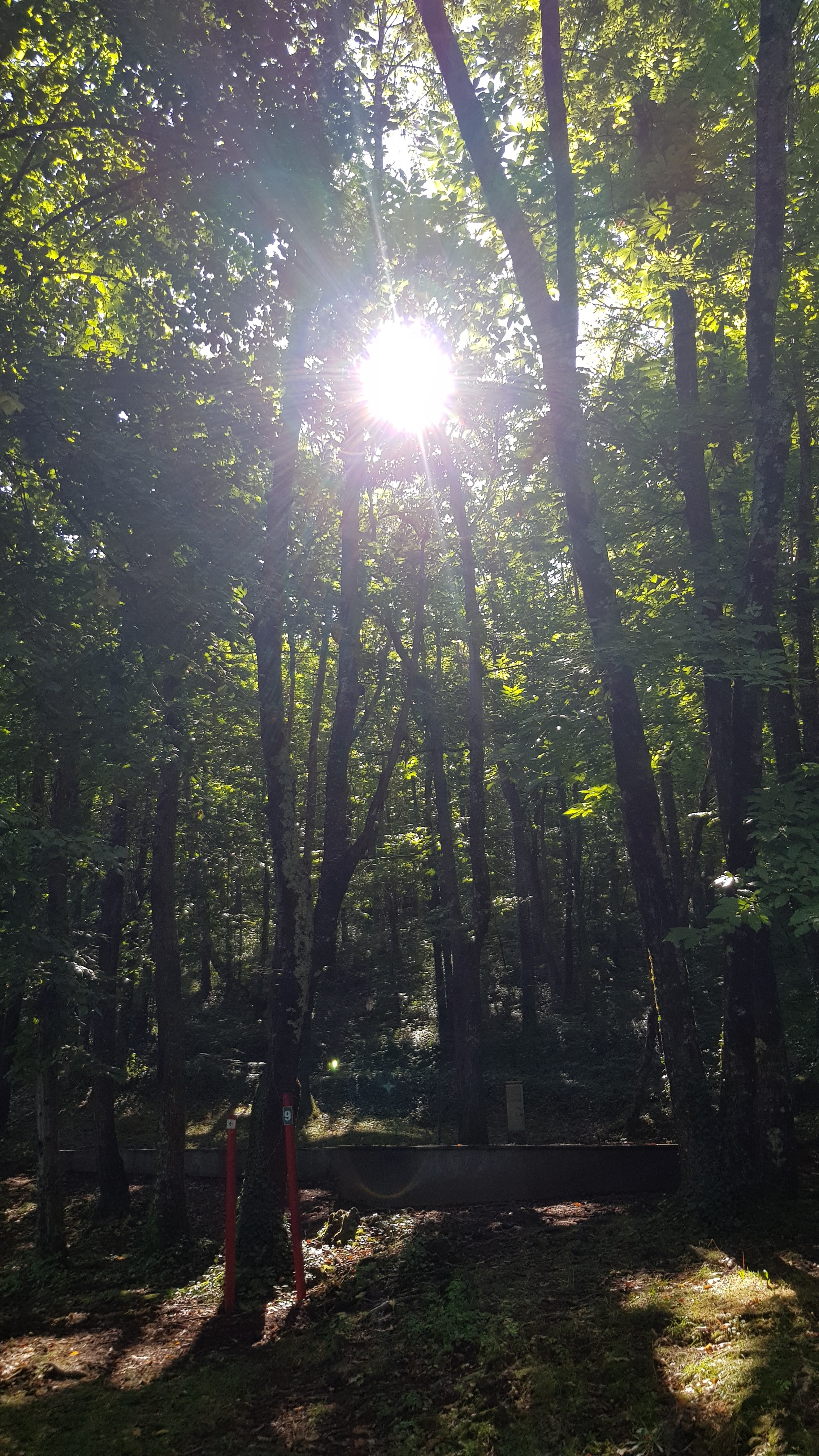 Photo n° 4 de l'avis de F. fait le 17/08/2020 à 14:02