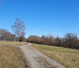 Bernhartshöhe photo