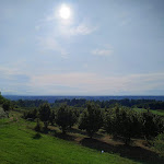 Photo n°5 de l'avis de Valentina.e fait le 06/08/2022 à 15:42 sur le  Agriturismo San Martino à Clavesana