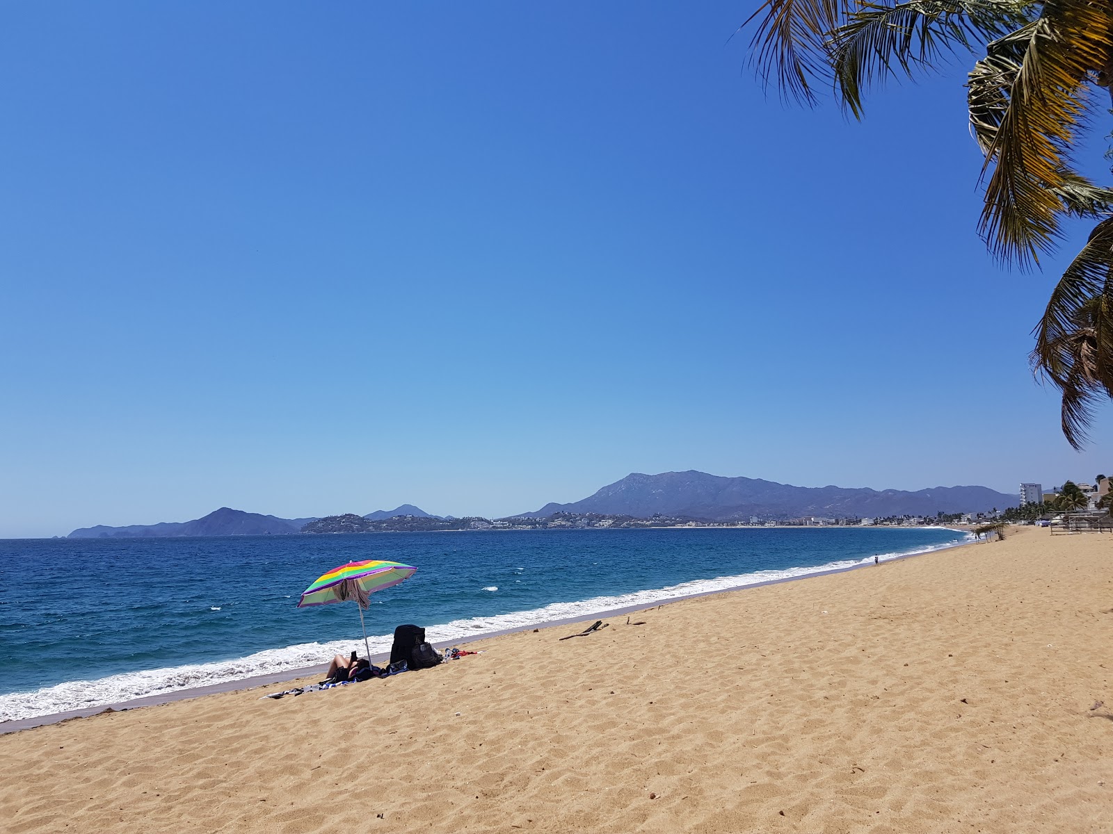 Manzanillo Colima photo #8
