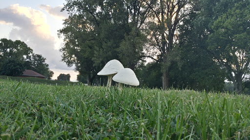 National Park «George Rogers Clark National Historical Park», reviews and photos, 401 S 2nd St, Vincennes, IN 47591, USA