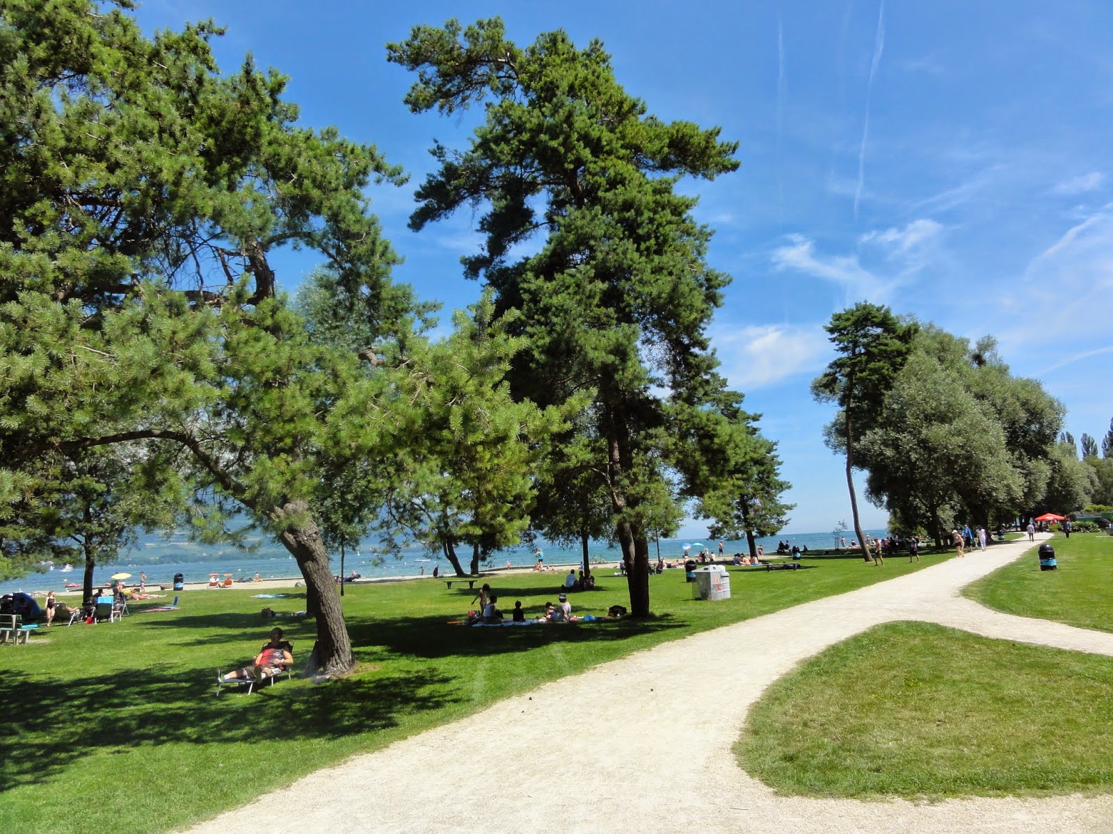 Foto von Plage d'Yverdon-les-Bains mit sehr sauber Sauberkeitsgrad