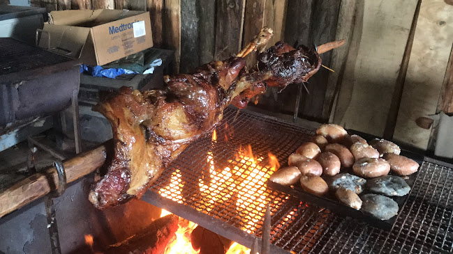 Ostras Don Pancho - Maullín